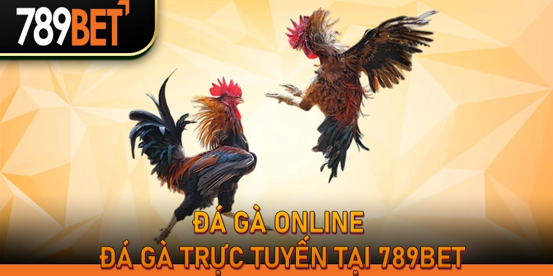 789BET Link Mới Nhất 2026 - Đăng Nhập Không Bị Chặn 16 Đá gà online – Đá gà trực tuyến tại 789BET