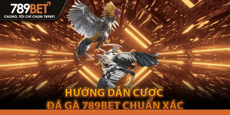 Hướng dẫn cược Đá gà 789bet chuẩn xác